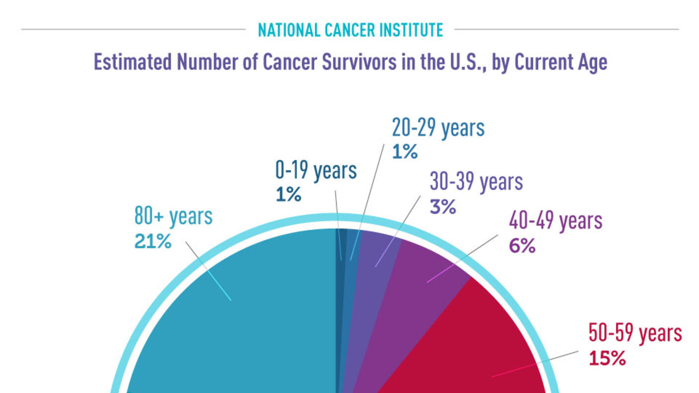 Pie chart of estimated number of survivors in the USA by age.