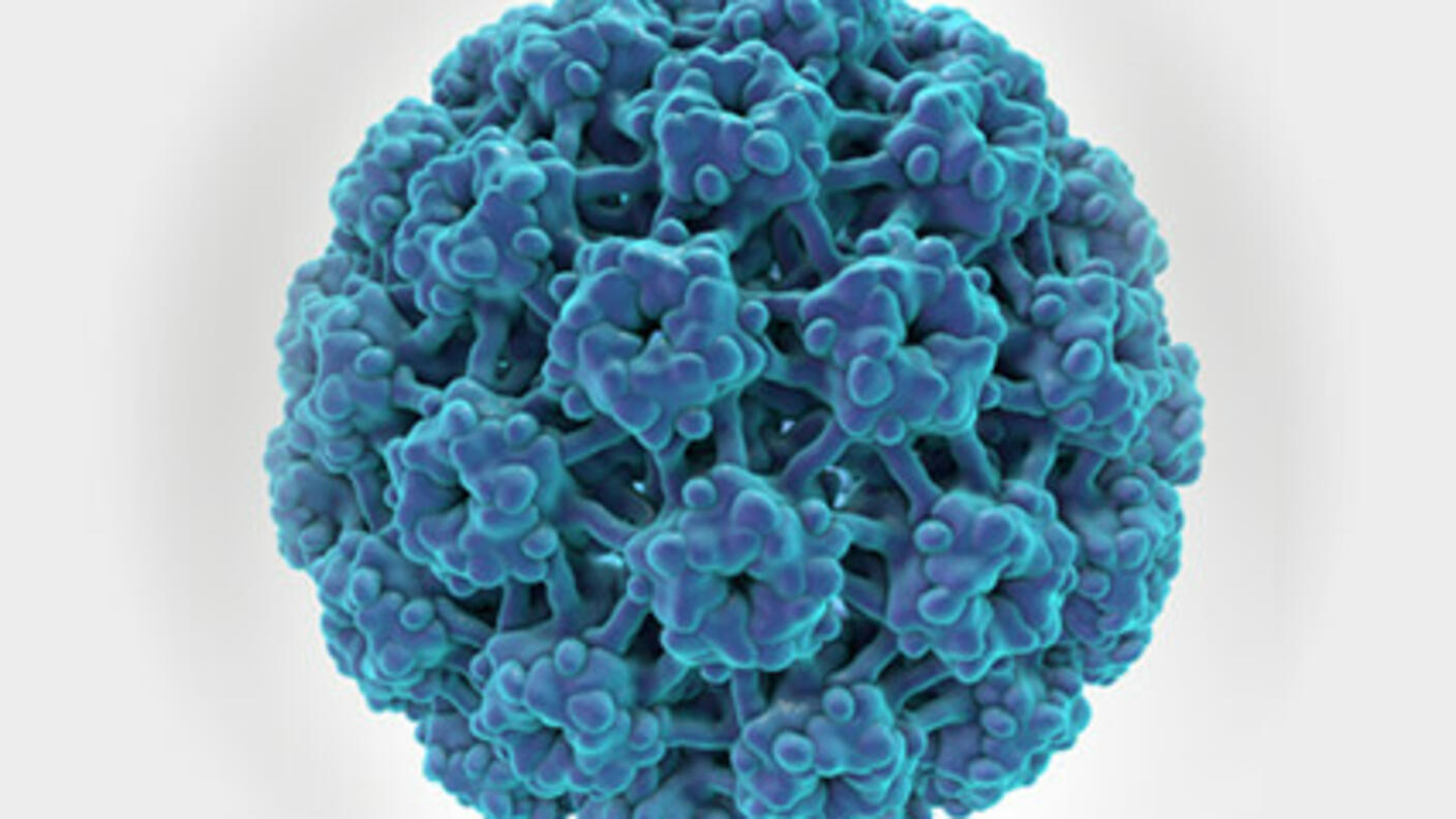 drawing of an HPV cell