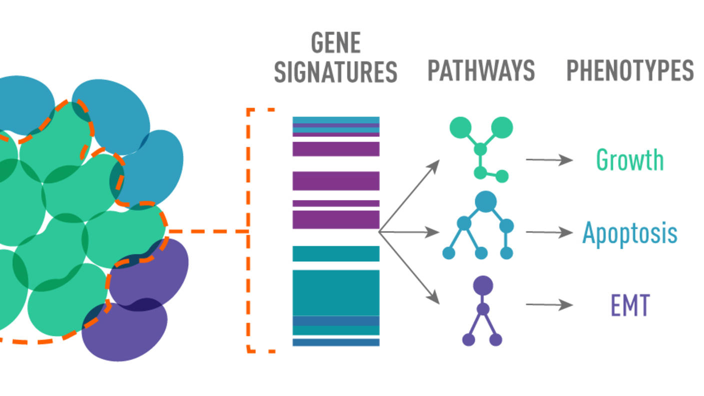 Illustration of resistant cancer cells 