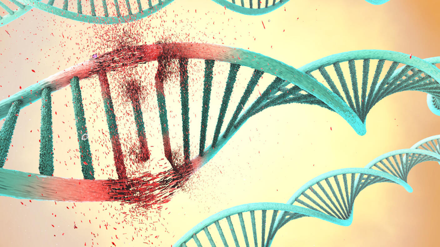 Illustration of a damaged DNA double helix.