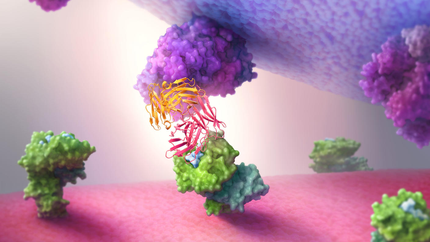 A three-dimensional image shows a zoomed-in view of a diabody connecting a T cell and a cancer cell. The diabody is depicted as a ribbon structure.