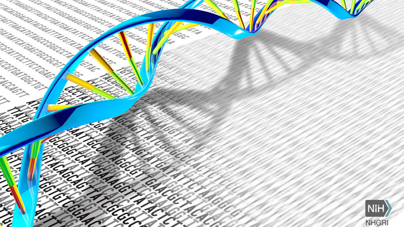 A colorful illustration of a stretch of DNA with strings of T, C, G, and As in the background.