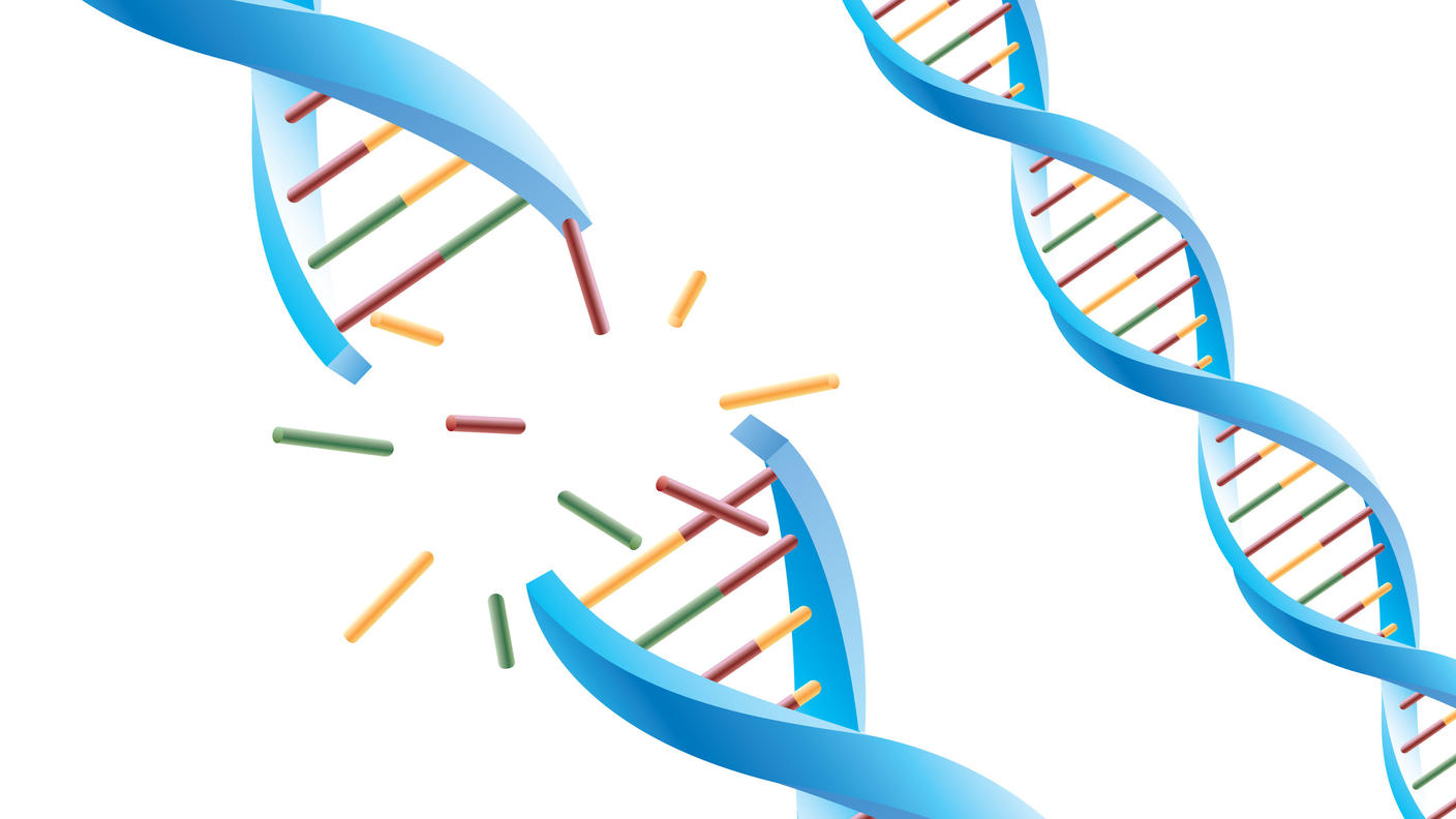 Three DNA double helix strands. One DNA strand is depicted as breaking apart, with fragments of the helix and its colored components flying outward.