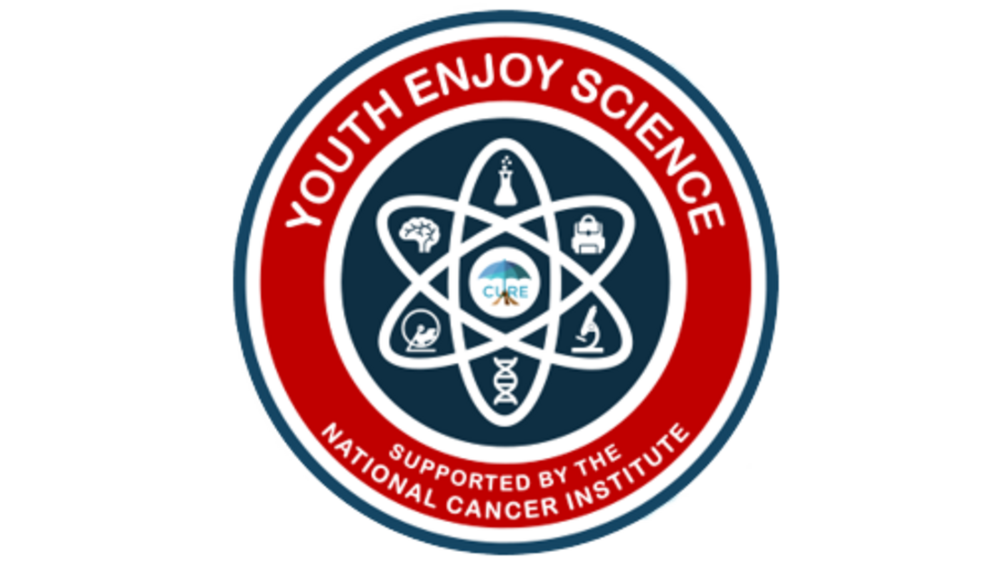 Youth Enjoy Science Logo