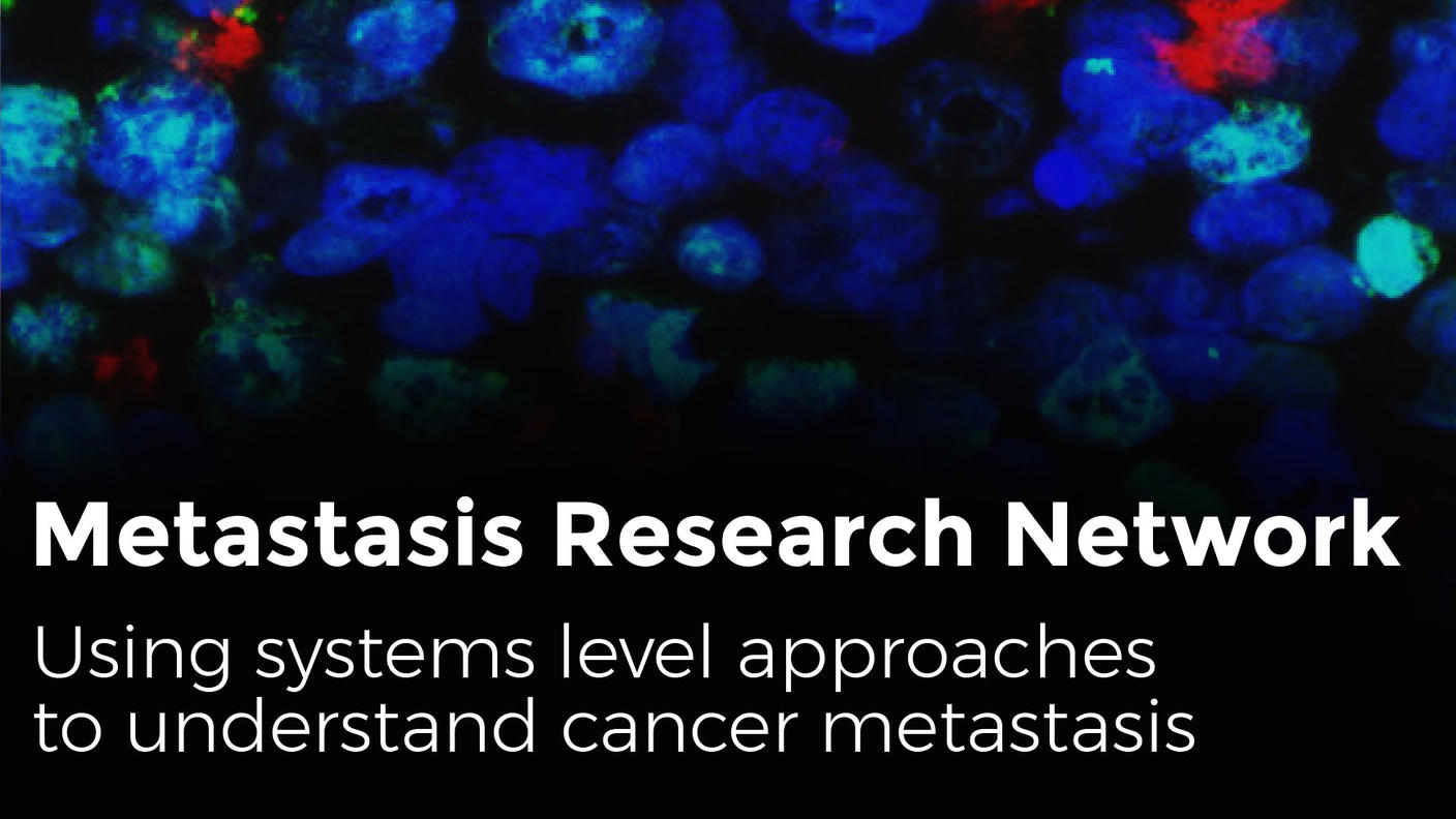Metastasis Research Network (MetNet) Image
