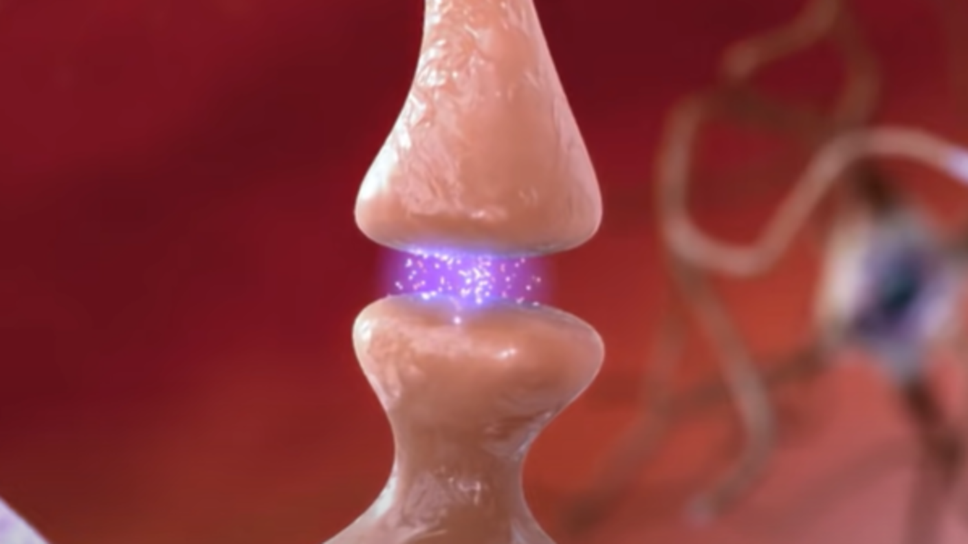 An illustration of a synapse between two neurons