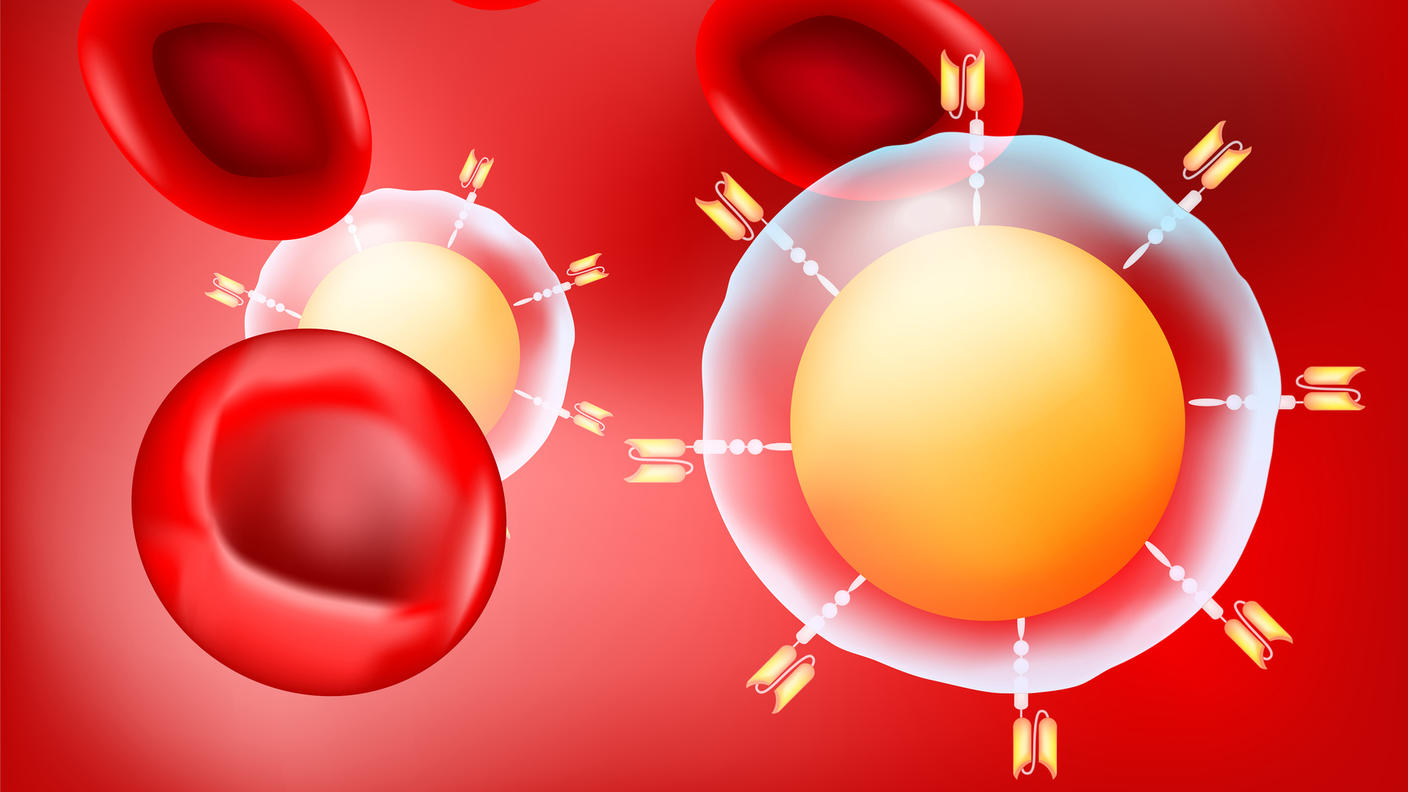 An illustration of CAR t-cells and red blood cells on a red background