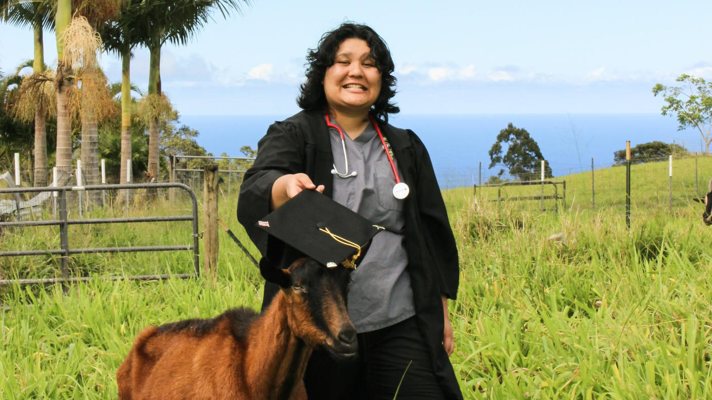 Person in graduation gown and stethoscope jokingly holds their mortarboard over a goat’s head.