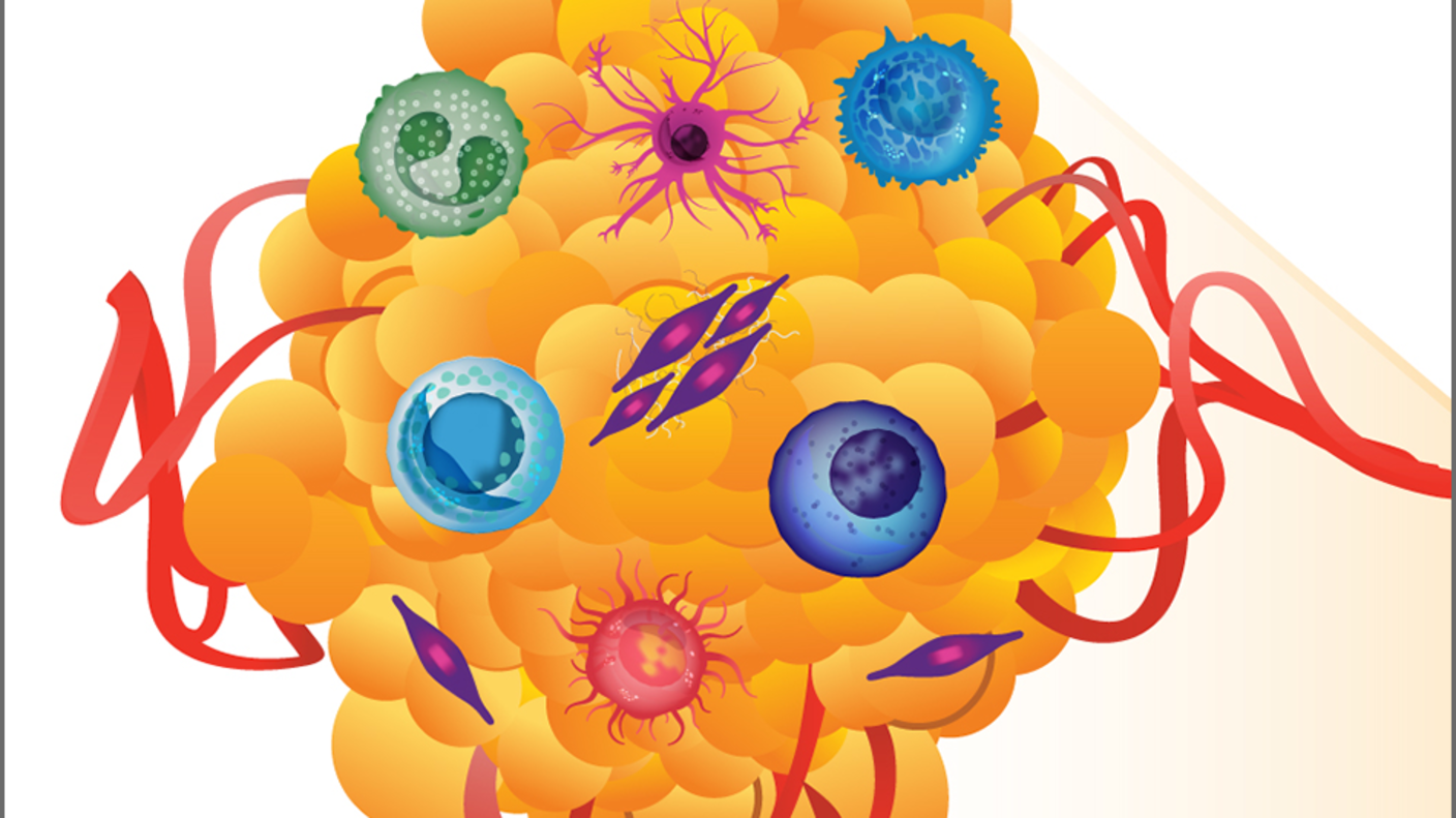 A tumor (yellow) is shown in the background. Components within the microenvironment are overlaid on the tumor, including a dendritic cell (pink), a T-cell (blue), a fibroblast (purple and pink), a natural killer cell (dark blue), a regulatory t cell (aqua), blood vessels (red), a macrophage cell (red with a yellow center), and a myeloid cell (green).