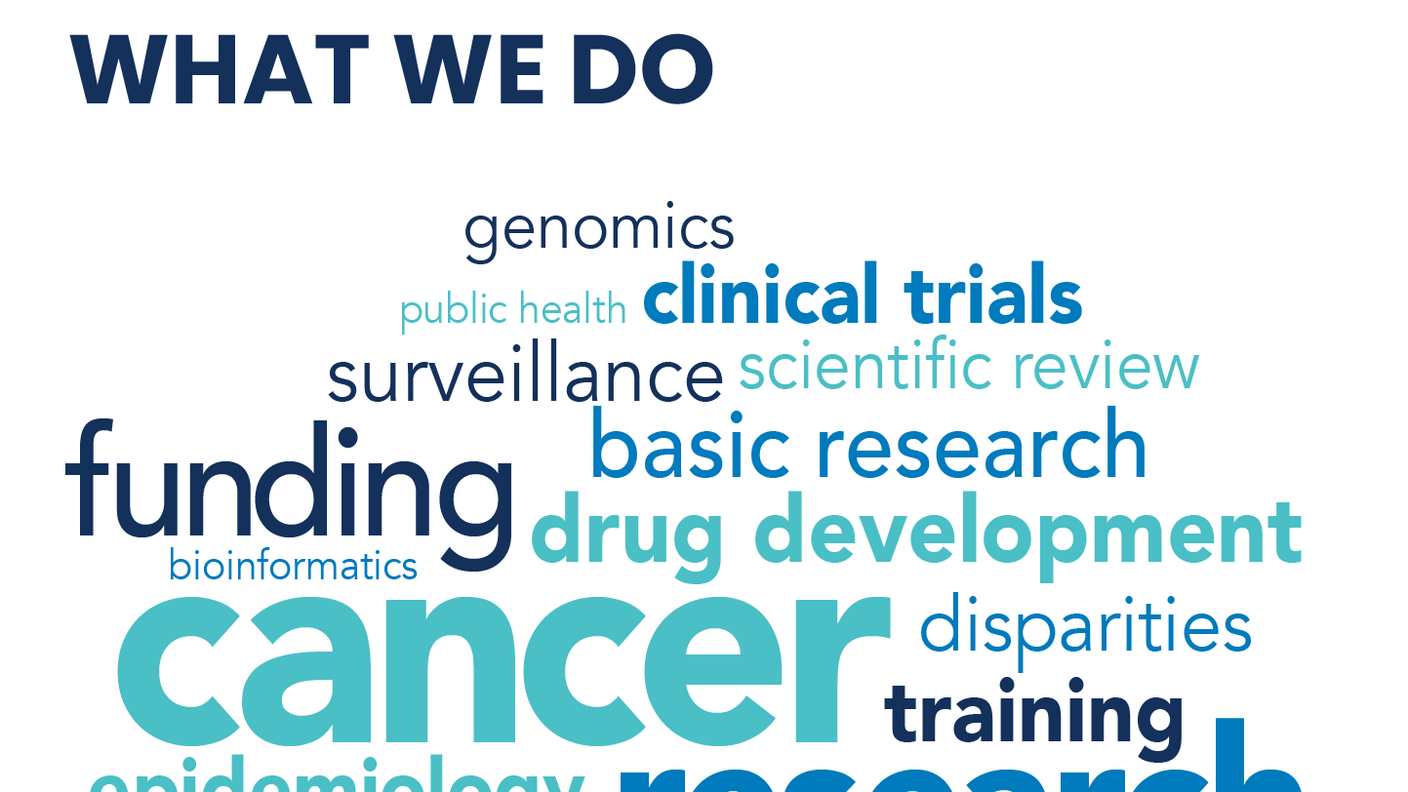 A word cloud with the heading "WHAT WE DO" at the top. The words are in various shades of blue and green, with larger words indicating more emphasis. Prominent words include "cancer," "research," "funding," "prevention," "clinical trials," "basic research," "drug development," "immunotherapy," and "grants."