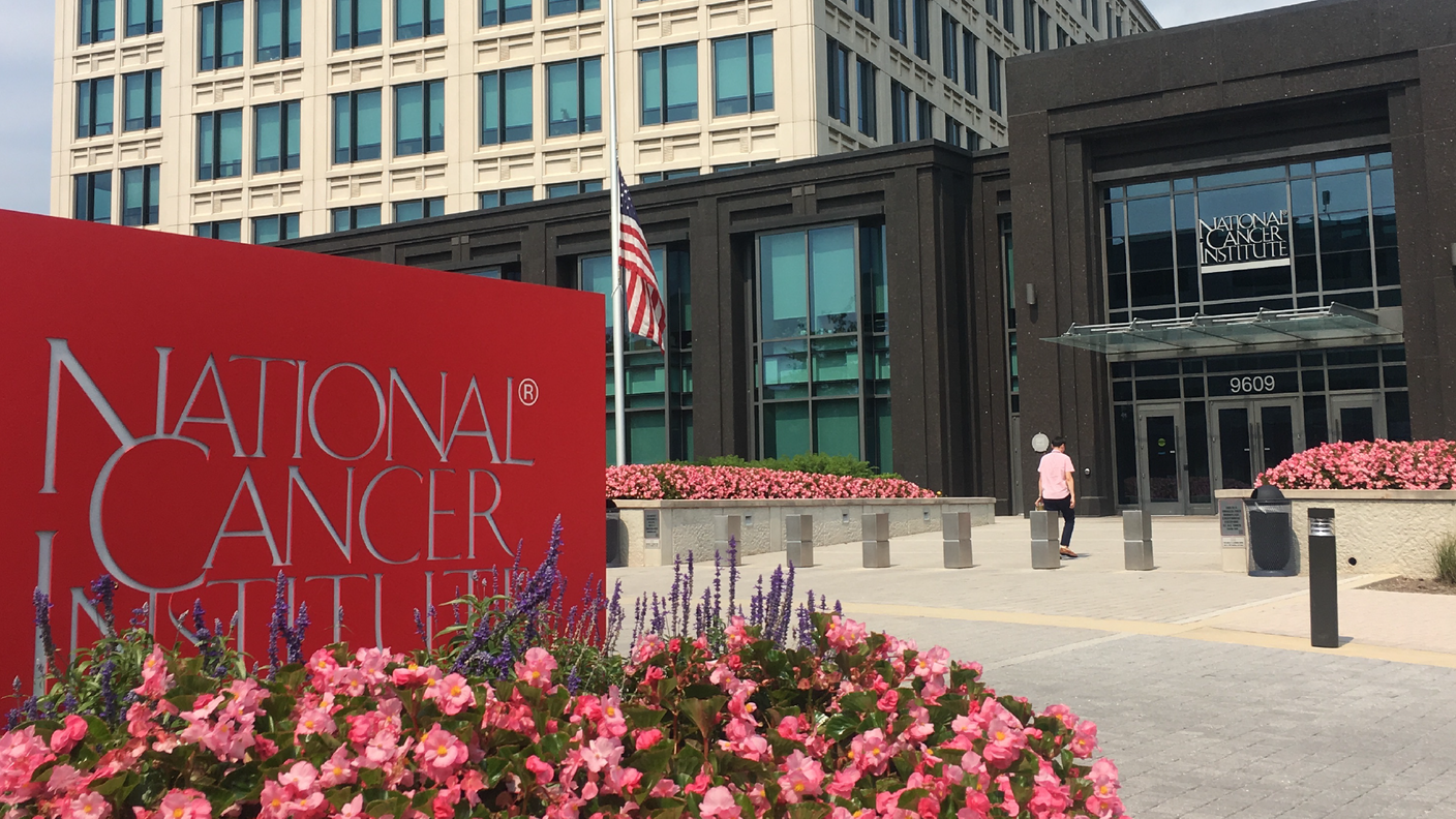 A large red sign with "National Cancer Institute" is in the foreground, surrounded by pink flowers. A building with the same name is in the background.