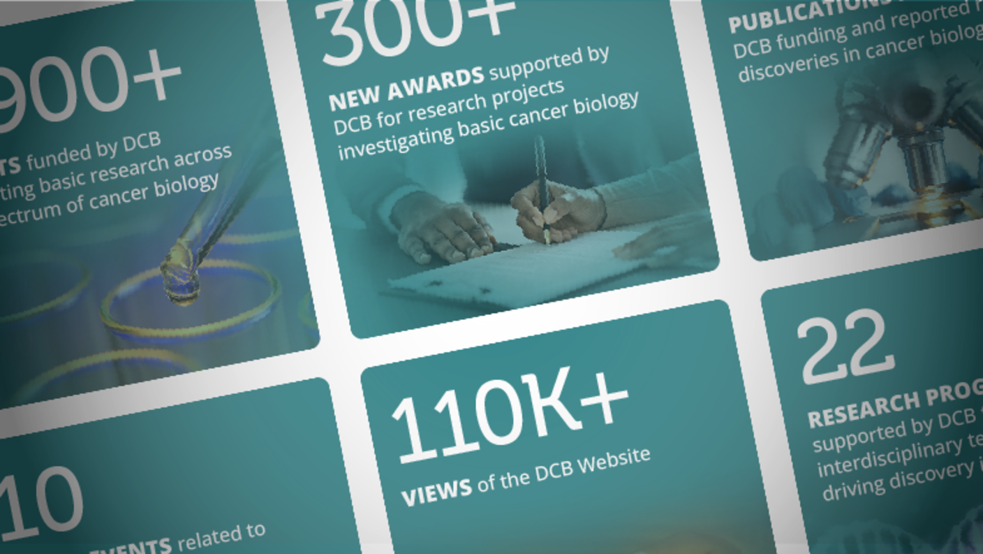 Promotional image for FY25 Division of Cancer Biology Progress in Advancing Basic Cancer Research infographic