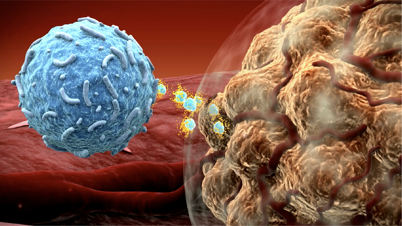 Illustration of an immune cell attacking cancer cells, representing checkpoint inhibitor therapy