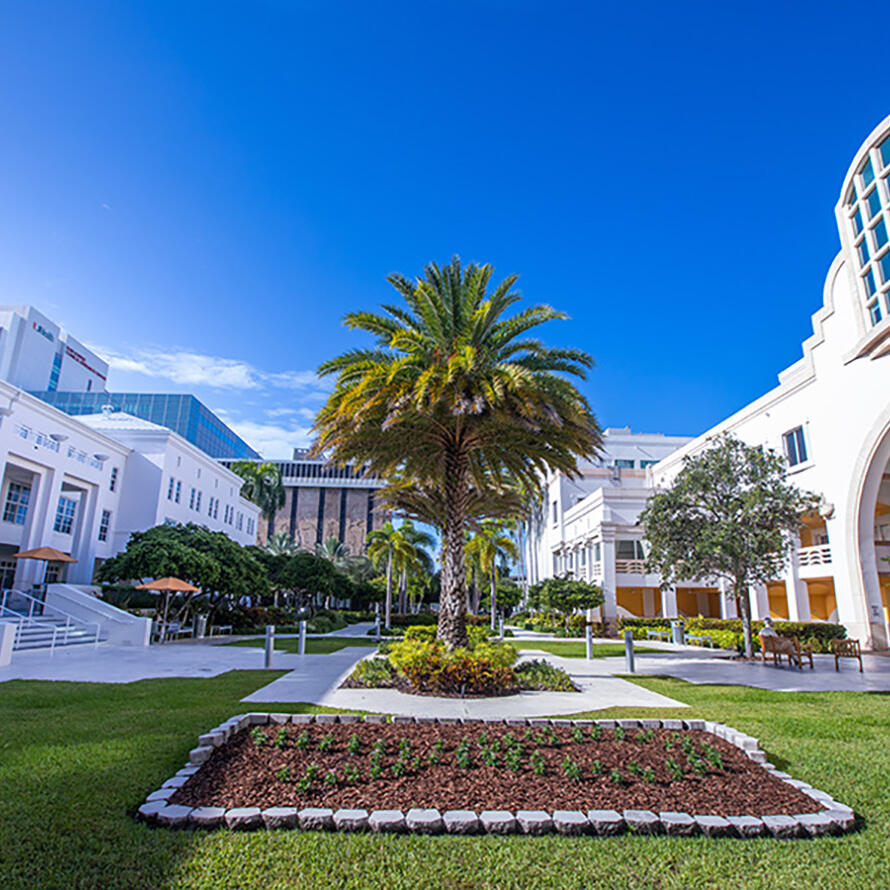 Sylvester - Miami Cancer Center