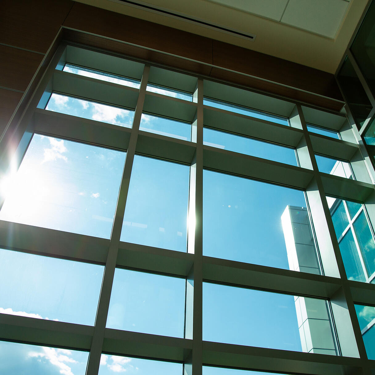 Sunlight streams through tall grid windows inside Georgetown Lombardi Comprehensive Cancer Center, with blue sky visible outside.