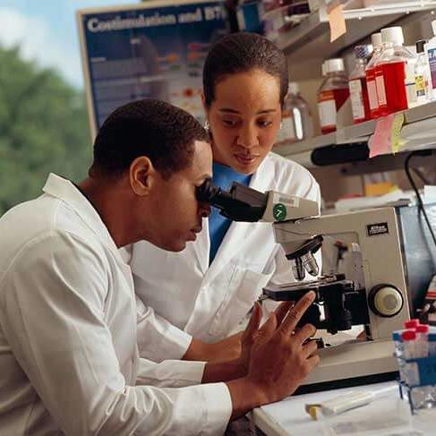 Two researchers in white lab coats working together in a laboratory, with one person looking into a microscope while the other observes, surrounded by laboratory equipment and supplies.
