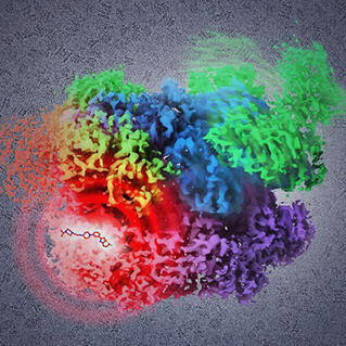 A complex molecular structure in red, green, blue, purple, and orange against a textured gray background.