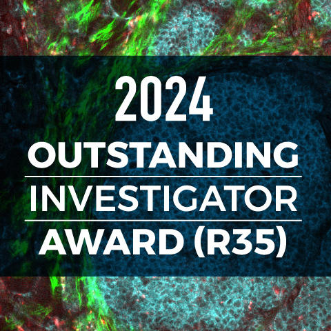2024 Outstanding Investigator Award